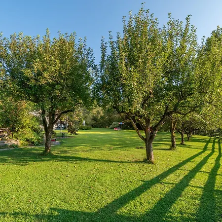 Alpenrose 1 By Interhome