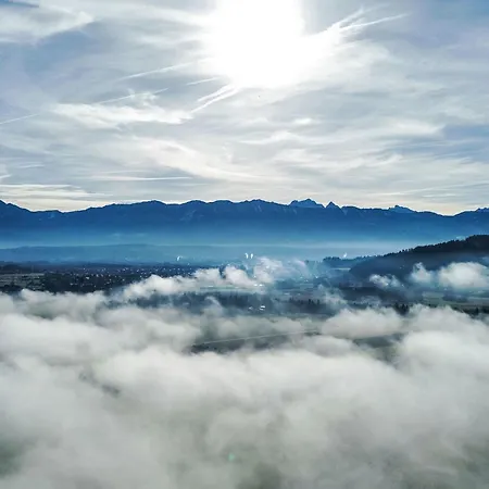 Lejlighed Alpenrose 1 By Interhome *